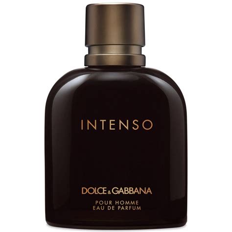 dolce gabbana pour homme 125 ml preisd|dolce and gabbana intenso men.